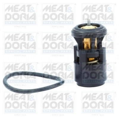Thermostat, coolant